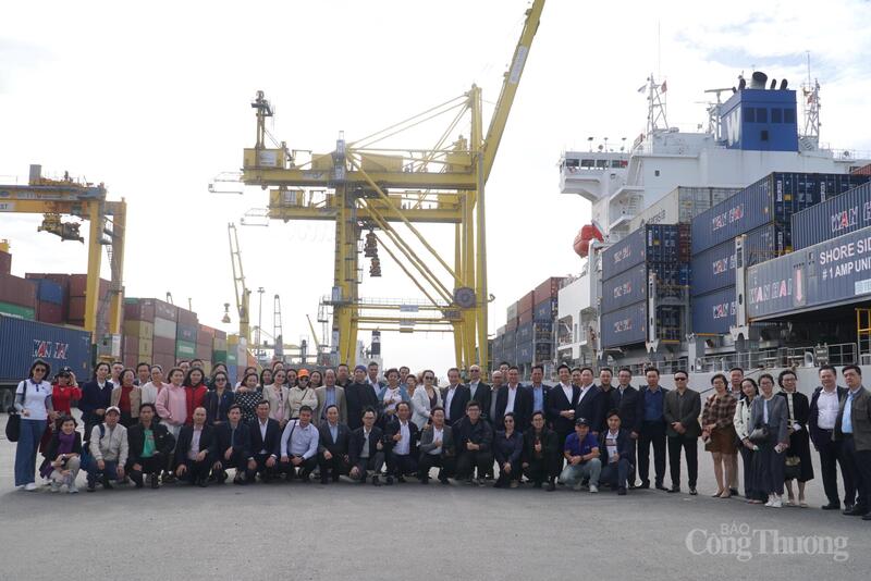 Đoàn đại biểu Diễn đàn Logistics Việt Nam 2025 khảo sát cảng Tiên Sa 